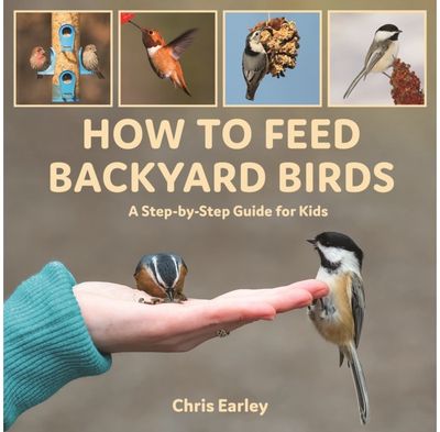 How to Feed Backyard A Step-By-Step Guide