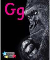 Alpha Stars Gg