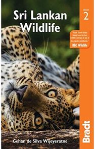 Sri Lankan Wildlife