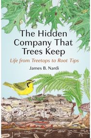 Hidden Company That Life from Treetops