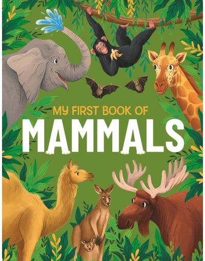 My First Book of An Illustrated First