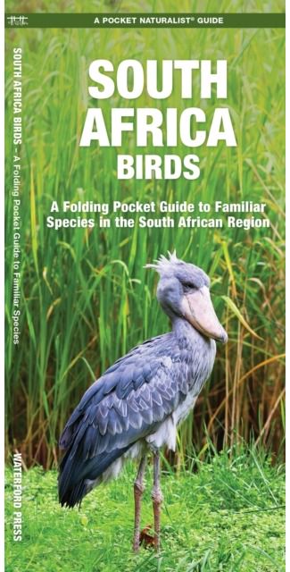 South Africa Birds A Folding Pocket