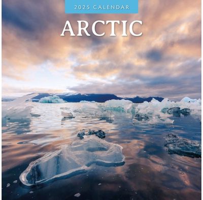 Arctic 2025 Square Wall Calendar