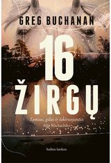 16 žirgų