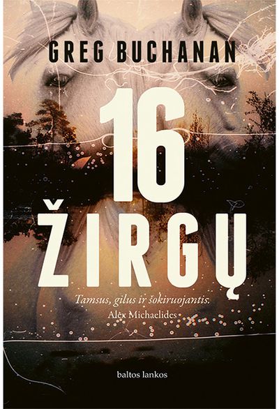 16 žirgų