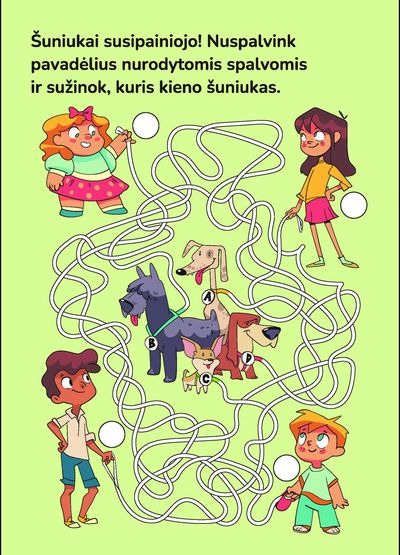 Labirintų iššūkis