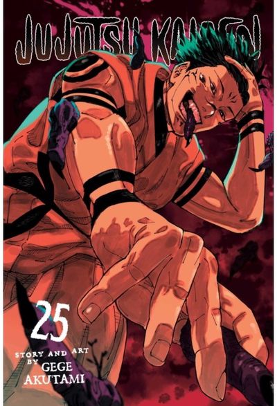Jujutsu Kaisen, Vol. 25 : Volume 25