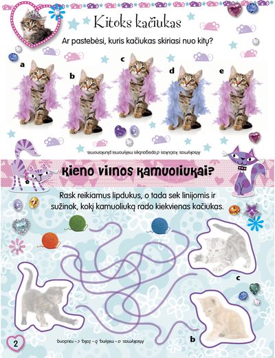 Kačiukai. Pūkuotieji bičiuliai