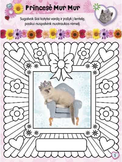 Kačiukai. Pūkuotieji bičiuliai