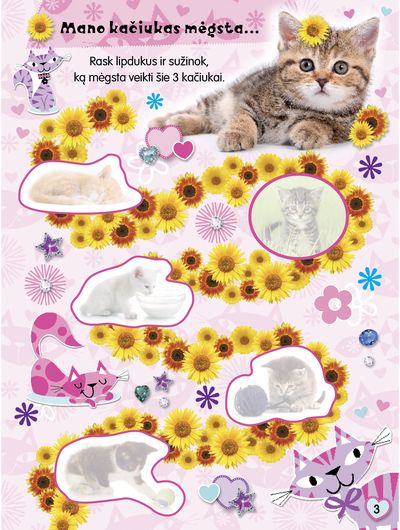 Kačiukai. Pūkuotieji bičiuliai