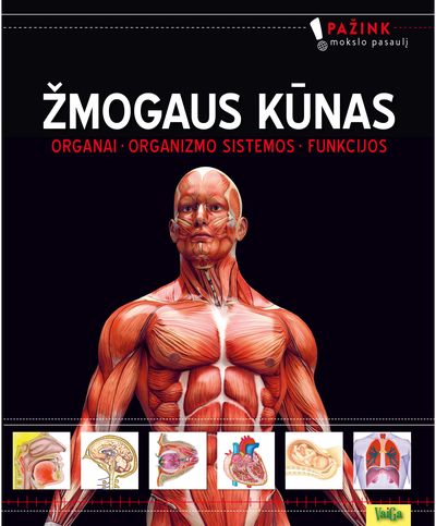 Žmogaus kūnas. Organai, Sistemos, Funkcijos