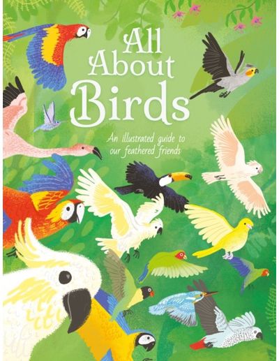 All About Birds An Illustrated Guide