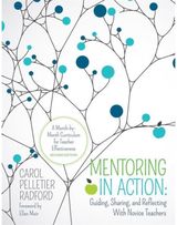 Mentoring in Action: A Month-by-Month