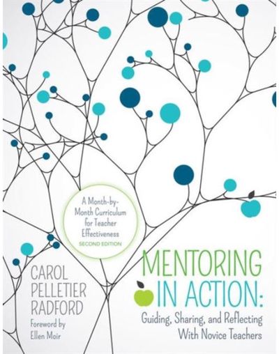 Mentoring in Action: A Month-by-Month