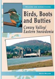 Birds, Boots and Butties: Conwy Valley/Eastern Snowdonia