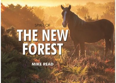Spirit of the New Forest