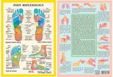 Foot Reflexology -- A4