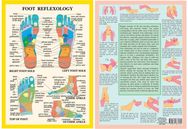 Foot Reflexology -- A4