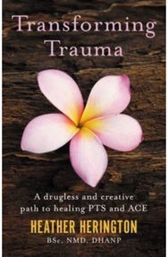 Transforming Trauma A drugless and creative path to healing PTS and ACE