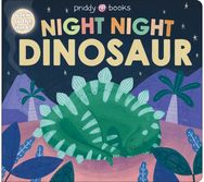 Night Night Dinosaur