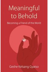 Meaningful to Behold Becoming a Friend of