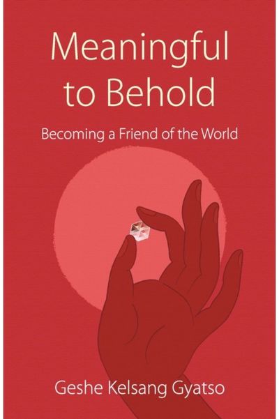 Meaningful to Behold Becoming a Friend of