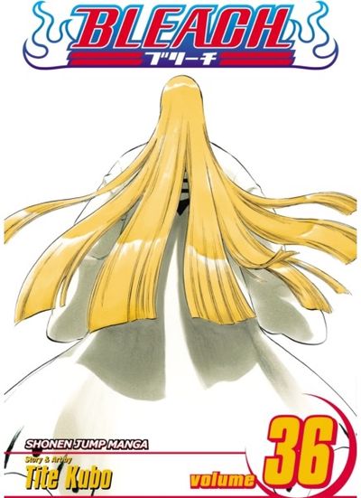 Bleach, Vol. 36