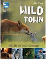 Wild Town