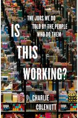 Is This Working? The Jobs We Do, Told