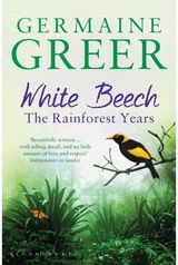 White Beech The Rainforest Years