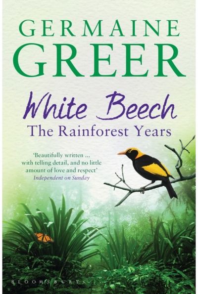 White Beech The Rainforest Years