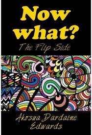 Now What?: The Flip Side The Flip Side