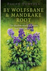 Pagan Portals – By