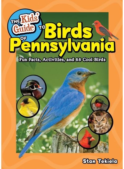 Kids Guide to Birds Fun Facts,