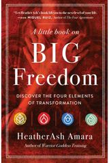 Little Book on Big Freedom Discover the Four Elements of Transformation