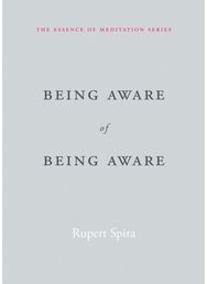 Being Aware of Being Aware: The Essence of Meditation, Volume 1 The Essence of Meditation, Volume 1