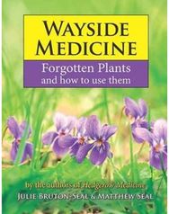 Wayside Medicine: Forgotten Plants and how to use them Forgotten Plants and how to use them