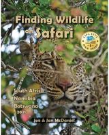 Finding Wildlife On Safari