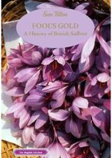 Fools Gold A History of British