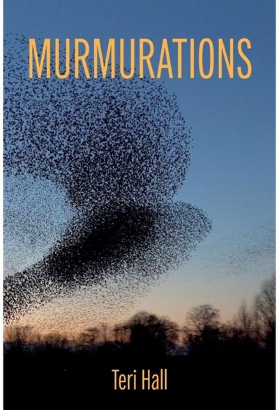 Murmurations