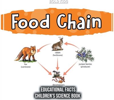 Food Chain Educational Facts Childrens Science Book