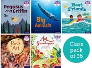 Essential Letters and Sounds: Essential Phonic Readers: Oxford Reading Level 7: Class Pack of 36
