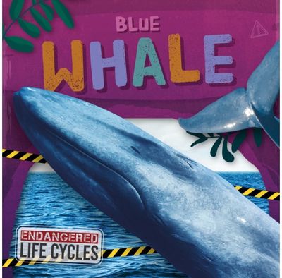 Blue Whale