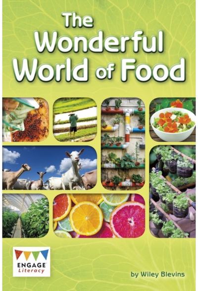 Wonderful World of