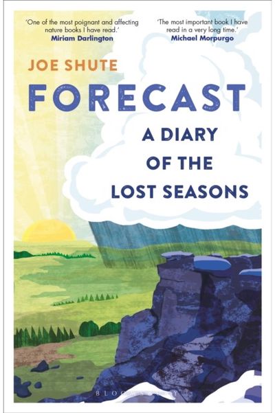 Forecast A Diary of the Lost