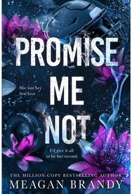 Promise Me Not: The brand-new angsty slow-burn romance following Tiktok sensation SAY YOU SWEAR! slow-burn romance following Tiktok sensation SAY YOU SWEAR!