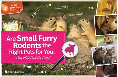Are Small Furry Can You Find the