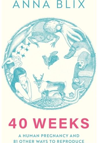 40 Weeks What Humans and 81