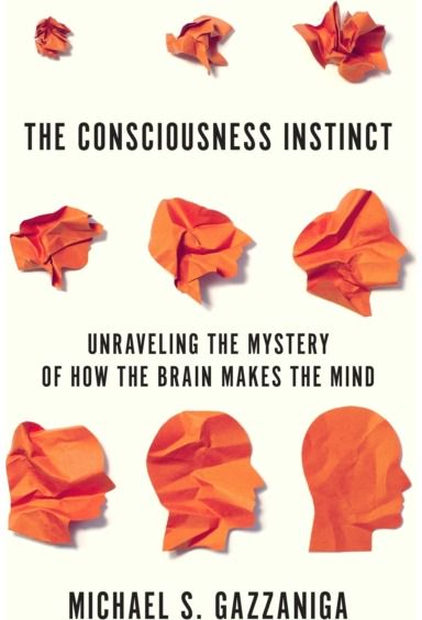 Consciousness Instinct Unraveling the