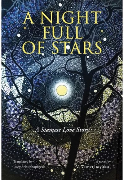 Night Full of Stars